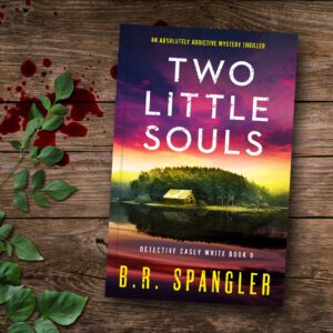 Two Little Souls book cover