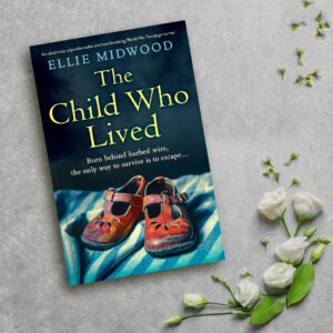 The Child Who Lived book cover