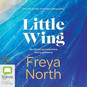 Little Wing book cover