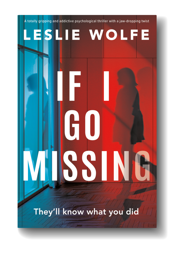 If I Go Missing book cover