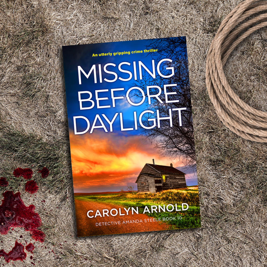 Missing Before Daylight book cover