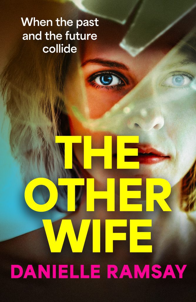 The Other Wife book cover