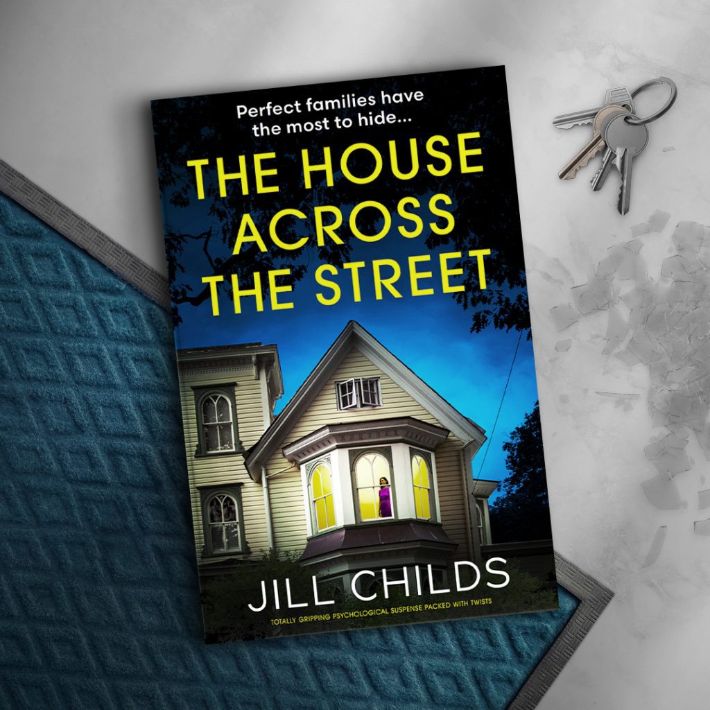 The House Across The Street book cover
